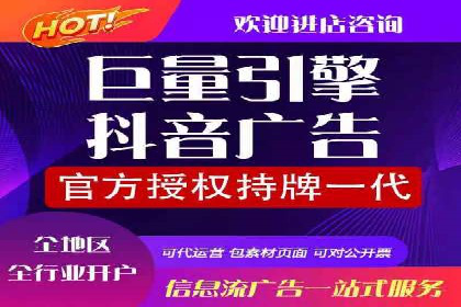 百度推广在电商行业的应用案例分析